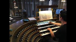 Toccata and Fugue in D minor on the Marktkirche Organ in Wiesbaden