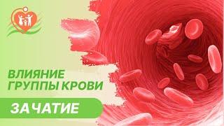 🩸 Влияние группы крови на зачатие