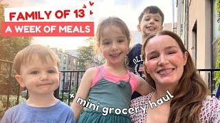 Family of 13 - mini grocery haul + a week of meals!