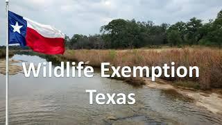 Wildlife Exemption in Texas | Learn how wildlife management in Texas maintains low ag taxes on land!