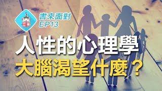 大腦天生就愛...? 神經科學家揭露大腦驚人真相！教你如何利用大腦優勢！書來面對EP13《社交天性》Matthew D. Lieberman / 說書【腦科學/心理學】