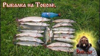 Рыбалка на Тоболе.