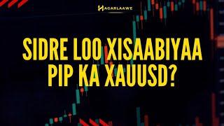 Sidee GOLD loo xisaabiyaa PIP kiisa? Macluumaad Dahabka ku saabsan| XAUUSD|