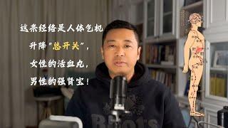 这条经络是人体气机升降“总枢纽”，女性的活血丸，男性的强肾宝！| 胆经｜环跳｜风市｜中渎｜膝阳关｜京门穴｜中医养生｜身体调理｜气血疏通｜经络养生｜针灸理疗｜【中医针灸理疗师Jimmy】