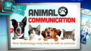 【空中英語教室】 動物溝通 Animal Communication  - 202209