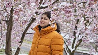 First YouTube video | #april | Snow in April | #cherryblossoms in 