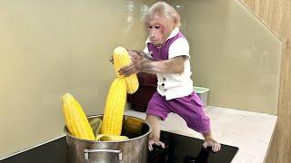 Bibi exercises and boils corn for breakfast!