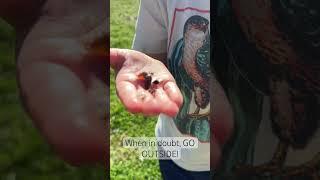 Homeschool Secret / GET OUTSIDE! Study God’s Creation #homeschooling #explore