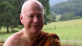 Patience - Dhamma reflection from Tan Ajahn Kalyano