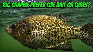 DO BIG CRAPPIE PREFER LIVE BAIT OR LURES- New full length episode