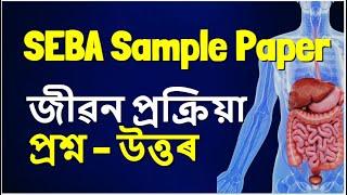 জীৱন প্ৰক্ৰিয়া || SEBA Sample Paper HSLC 2025