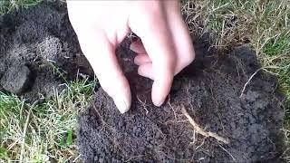 Garrett AT PRO metal detecting 2016 random hunts few silvers