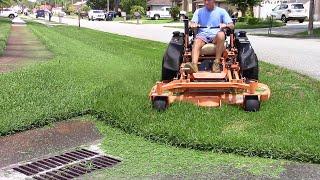 The Cheetah Mowing Thick St Augustine Grass