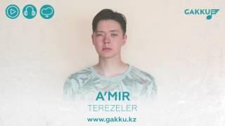 A'mir - Terezeler (audio)