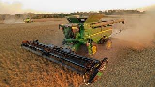 Soybean Harvest 2019 | Werner Farms