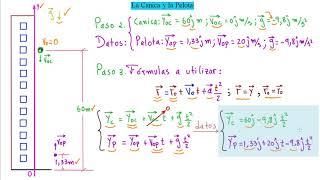 ►Aprende Rápido y Fácil Todo Sobre Movimiento Vertical en Física