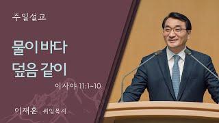 [이재훈 위임목사] 물이 바다 덮음 같이 (이사야 11:1-10)│2024.12.15 (일)