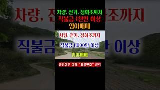 전기 인입에 정화조 시설과 직불금까지 받고 있는 임야 매매