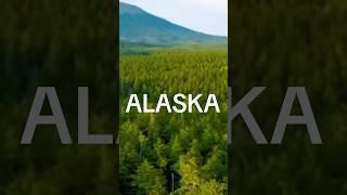 Alaska's Untamed Beauty - Nature's Masterpiece #alaskanature  #Alaska #shorts