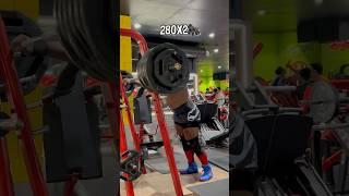 RAW SQUAT 280kgx 2 #youtubeshorts #powerlifting #legworkout #fitness #trendingshorts#viralshorts#yt
