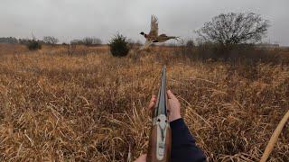 MN Pheasant Hunt Nov 3/4 2024