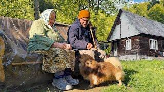 Возвращение дедушки после операции к привычной жизни с женой в горной деревне