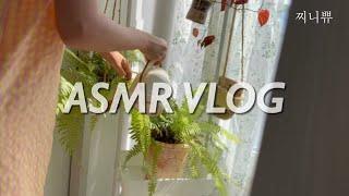 [찌니쀼] 집안일과 식집사의 하루 브이로그 ASMR VLOG / housekeeping and growing plants asmr vlog