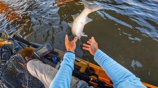 Fishing a Knocker Rig with Crabs (Incredible Bite)