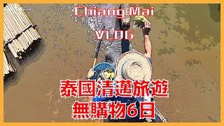 2024 跟團泰國清邁行 | 6天5夜無購物 | Thailand Chiang Mai VLOG