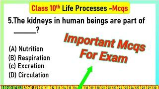 life process mcq class 10 |  MCQ Questions for Class 10 Science Life Process with Answers