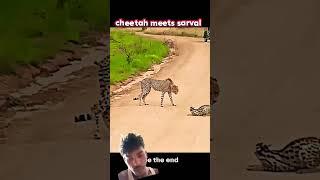 short#video #youtube Vishal Chauhan 1k pahla block video Vishal Chauhan ka id subscribe kijiye