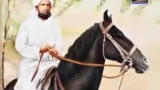 A Clip about Hazrat Sultan Muhammad Asghar R.A Spiritual Practices of Faqr and Horses Riding