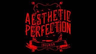 Aesthetic Perfection - Inhuman (Combichrist Remix)