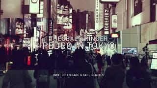 THEOBALD RINGER - Pedro In Tokyo (original Mix) - Metrohm Records