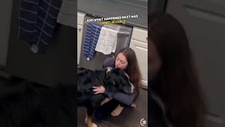 Dog senses something wrong 