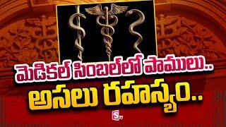 Real Facts behind Medical Symbol in Telugu | History of Medical Symbol | SumanTV Telugu