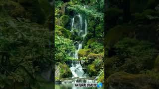 Beautiful waterfall #nature #beauty #waterfall ️#travel #naturelovers #status #beautiful #ytshots️