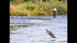 Salmon River New York Fishing Real Estate