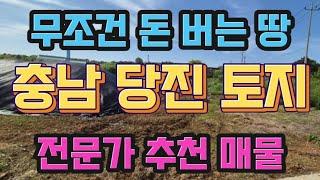 무조건 돈버는 땅! 충남 당진 토지매매