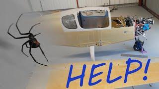 Learn Australian English- Red back spiders in my hangar!