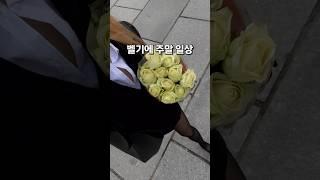 벨기에 일상 플라워마켓 겐트 주말