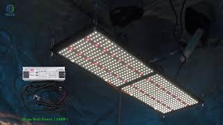 HLG LED Grow Light 240W 3500K Full Spectrum Meanwell Driver Samsung LM301H & 660 Osram Best Quality