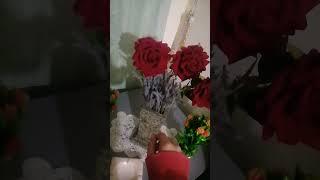 shorts مضحك