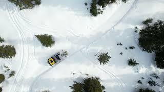Snow Rabbit - Lets Go Grooming