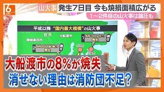 【解説】日本の山火事は「3分の2以上が人為的なもの」　“大規模化”につながる要因は…　岩手・大船渡市の面積の8％が焼失「雨に期待するしかない」