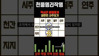 내 연인 사주보기 ft.신축일주