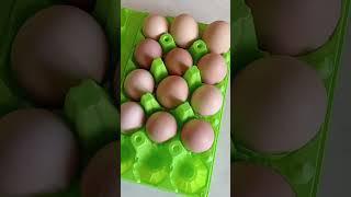 Моя реакция