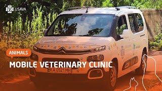 AVMF & UVMF mobile veterinary clinic: saving animals in Ukraine together