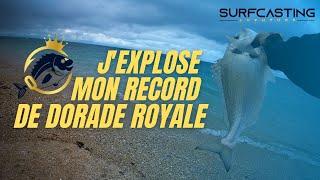 SURFCASTING S01 E08: J'EXPLOSE MON RECORD DE DORADE ROYALE