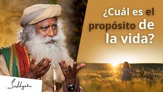 ¿Cuál es el propósito de la vida?│Sadhguru